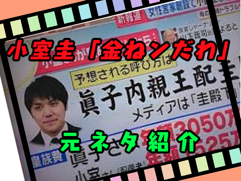 小室圭「金ねンだわ」元ネタとなったヌポポコピペや発祥について | とんずらネット