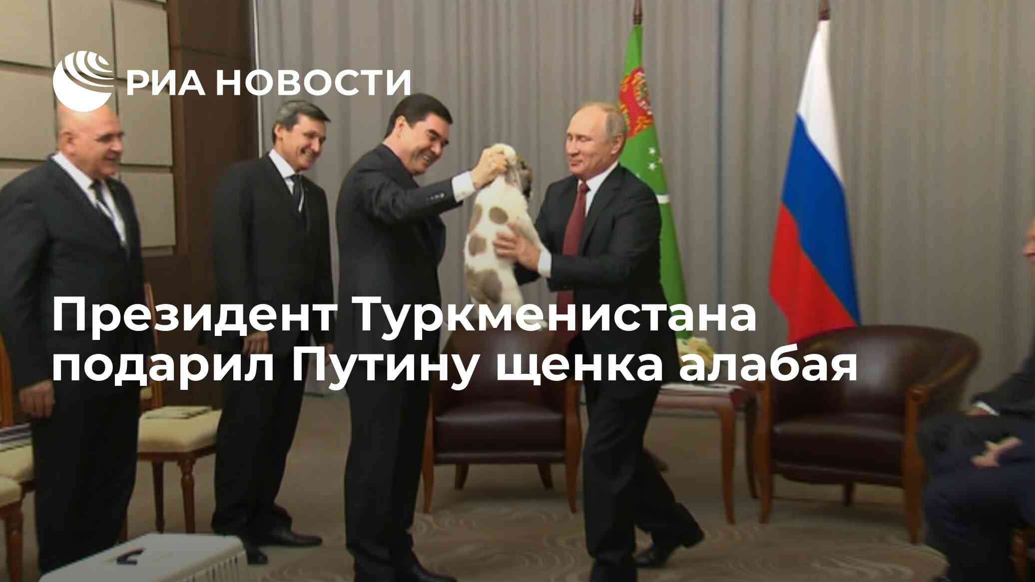 Президент Туркменистана подарил Путину щенка алабая - РИА Новости, 03.03.2020