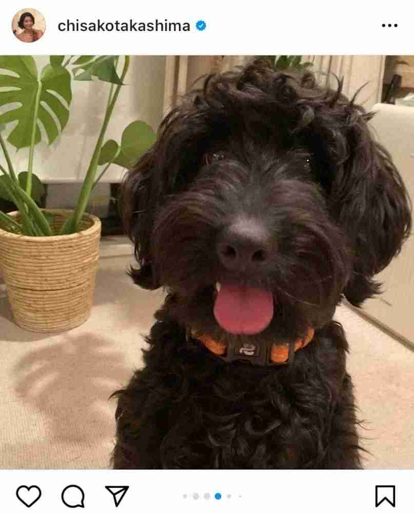 高嶋ちさ子、愛犬の舌出しショット披露　「笑ってる」「モシャモシャも可愛い」の声