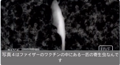 ファイザー社ワクチンに「寄生虫」が入っていた！そして今話題の「イベルメクチン」は「寄生虫」駆除剤。結局は「ワクチン利権」で裏で繋がっている。 – 真実の玉手箱