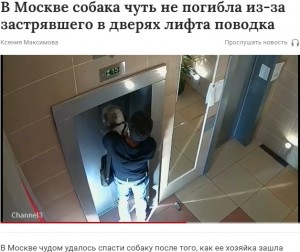 エレベーターでリードに繋がれたまま犬が宙吊り　飼い主は全く確認せず（露）＜動画あり＞