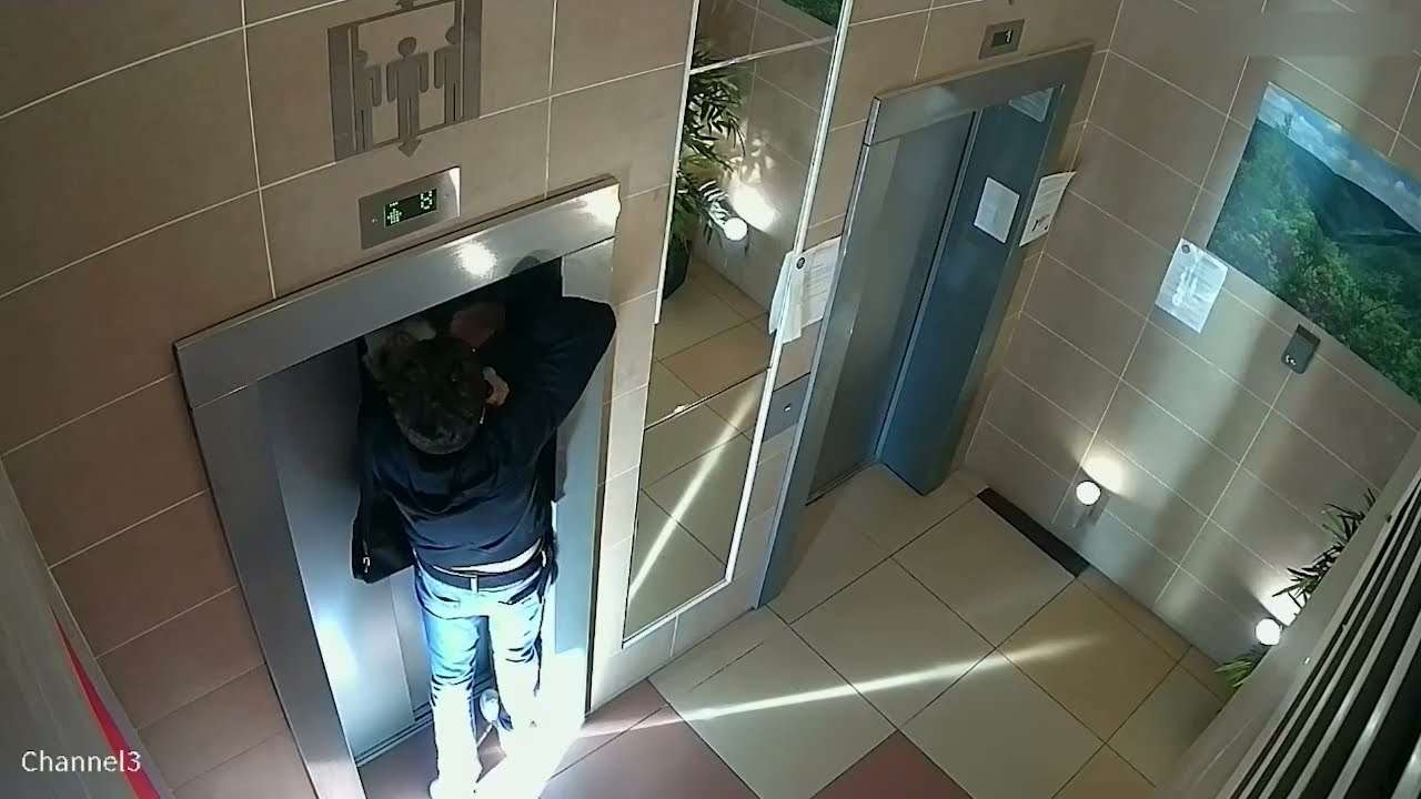 ? Собака чуть не погибла в одной из столичных многоэтажек, когда её поводок зажало дверями лифта. - YouTube