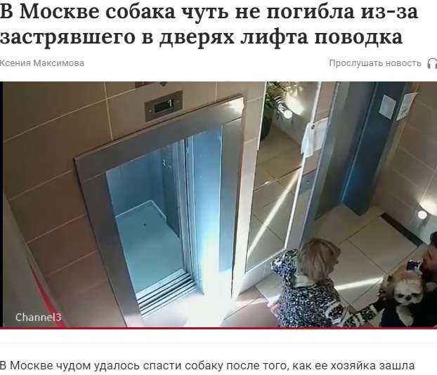 【海外発！Breaking News】エレベーターでリードに繋がれたまま犬が宙吊り　飼い主は全く確認せず（露）＜動画あり＞ | Techinsight（テックインサイト）|海外セレブ、国内エンタメのオンリーワンをお届けするニュースサイト