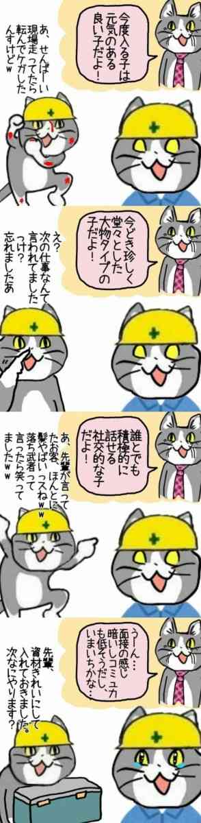 現場猫を愛でるトピ