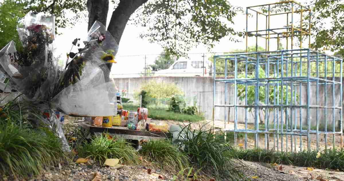 大津女児暴行死　兄を逆送せず少年院送致　母の育児放棄を考慮