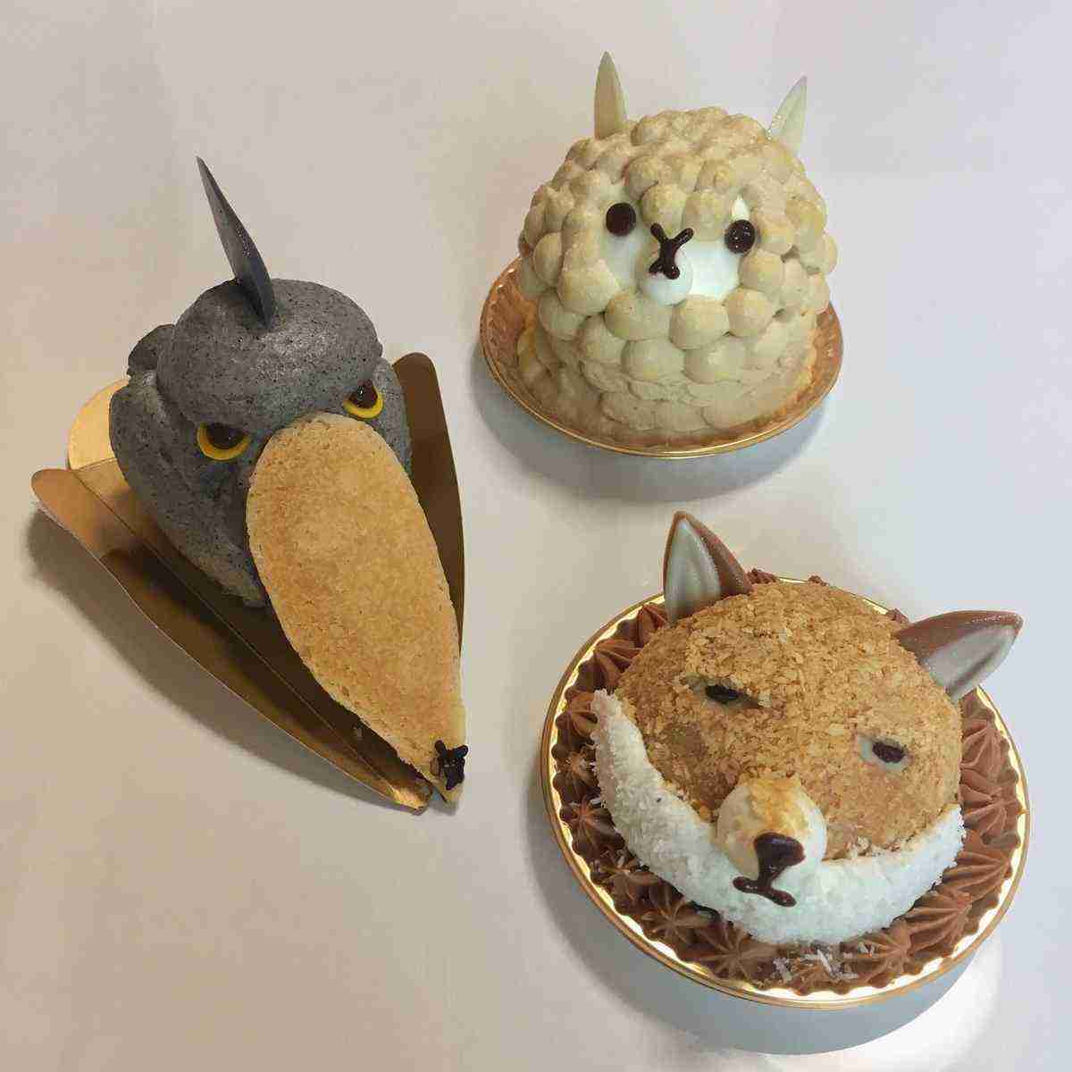 色んなケーキが見たい???