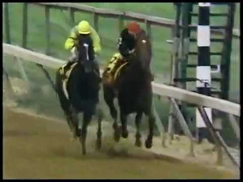1989 Preakness Stakes - Easy Goer -vs- Sunday Silence - YouTube