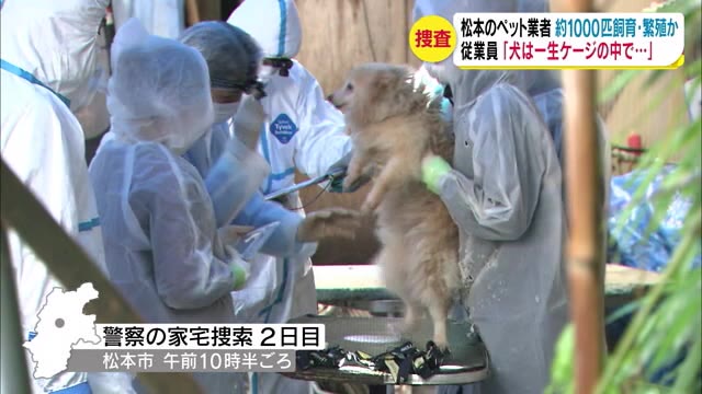 約1000匹の犬を飼育・繁殖か　劣悪な環境…ペット業者を捜査　従業員「犬は一生ケージの中で」