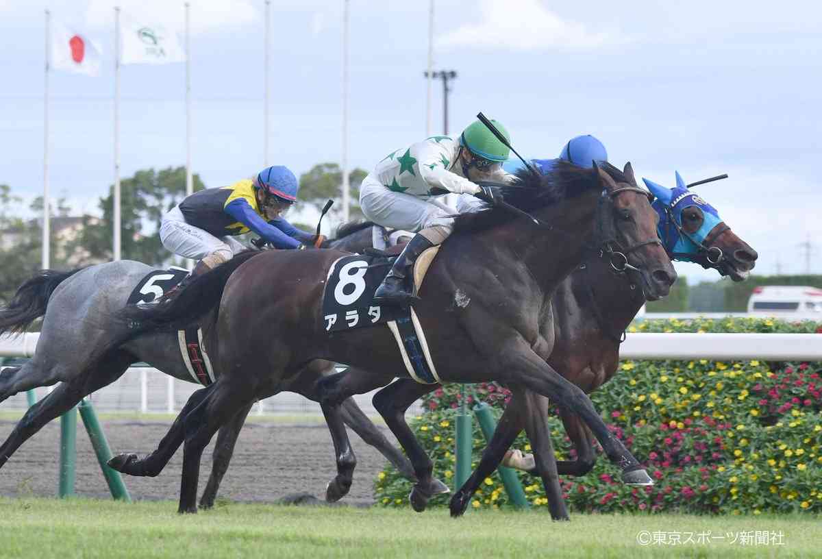 好きな競走馬は？ Part2