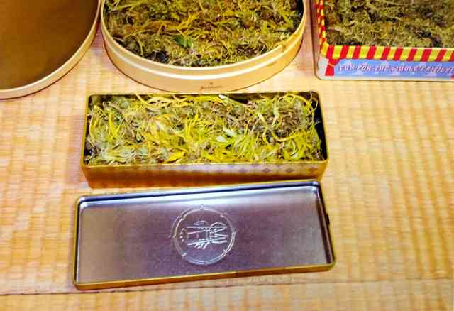 移住先で大麻所持容疑、２２人を逮捕　うち１２人が夫婦：朝日新聞デジタル
