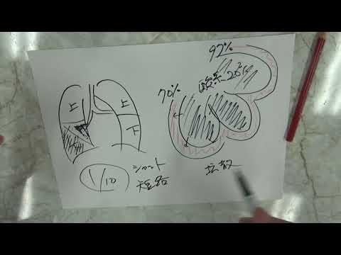 コロナ肺炎が息苦しい理由 - YouTube