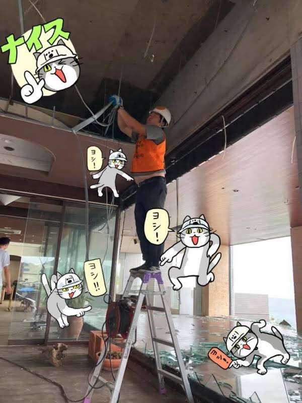 現場猫を愛でるトピ