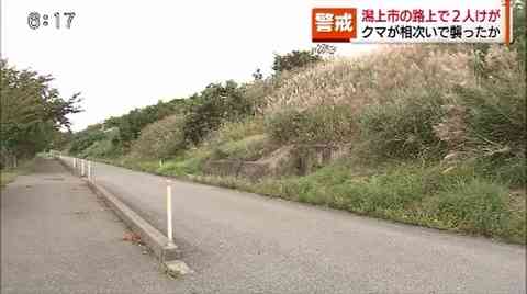 新聞配達中の人と散歩中の人が相次いで“クマ”に襲われる「暗くてよくわからなかった」（秋田朝日放送） - Yahoo!ニュース