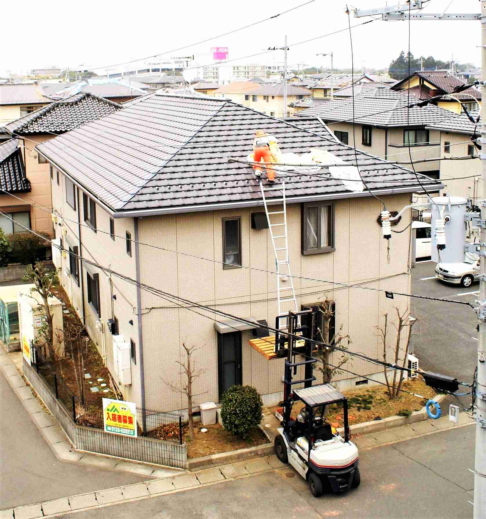 現場猫を愛でるトピ