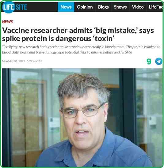 ファイザーの動物実験極秘データが日本から流出 日本政府や厚労省はワクチンの危険性を認識しているが国民に知らせず接種を継続中 - 美味しい料理と素敵な音楽を