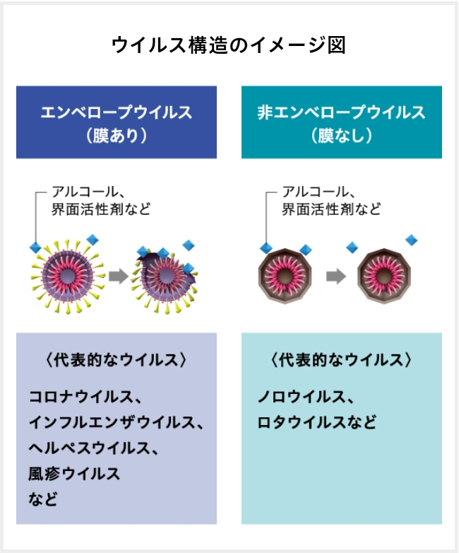 鼻うがい👃