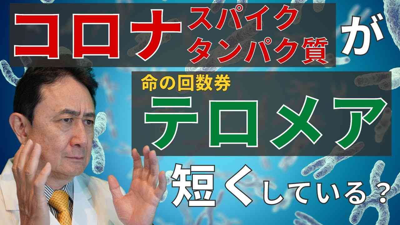 コロナのスパイクタンパク質が、「テロメア」を短くしている？との報道。海外論文を元に解説しました。／犬房春彦（ルイ・パストゥール医学研究センター／医師・医学博士） - YouTube