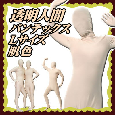 もし透明人間になれたらどんな事してみたいですか?