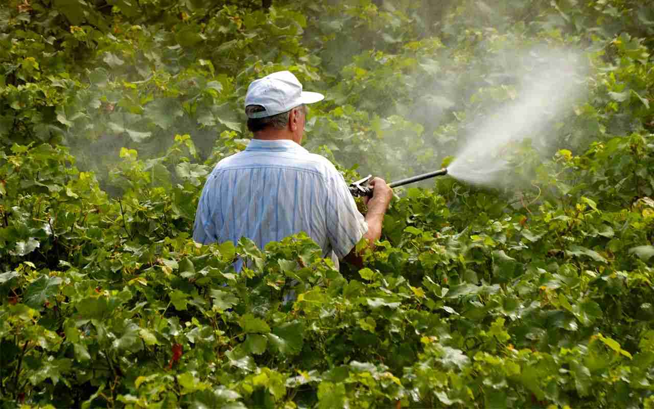 「農薬の使用率が高い国ほど発達障害が多い」…日本の野菜は本当に安全か？ | 文春オンライン