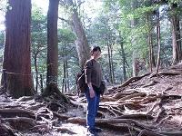 ●米国）ワクチン拒否の医師、看護婦、科学者が約半数：世界最強の疾病予防管理センターで | 潰瘍性大腸炎 & クローン病＆過敏性腸症候群の改善・完治・根治