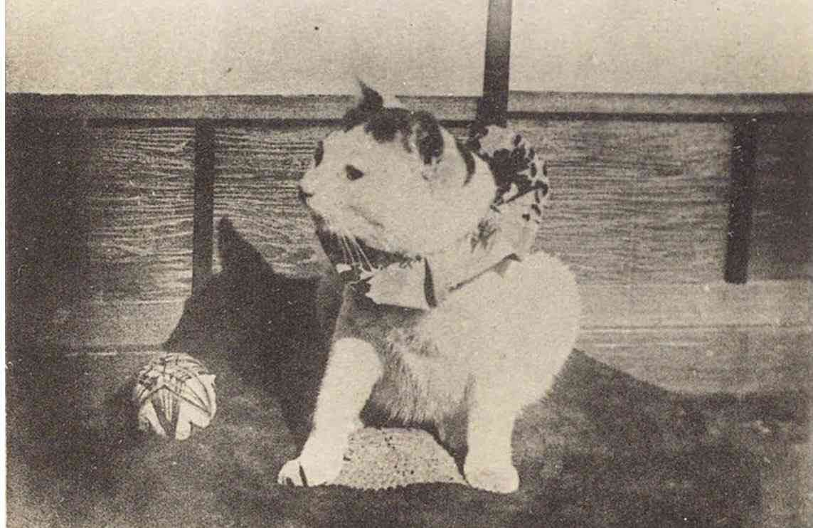 最後の将軍・徳川慶喜が撮影した