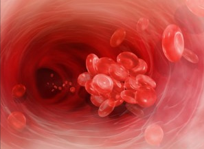 やっと腑に落ちた血栓のお話 | eidf7h3ehのブログ