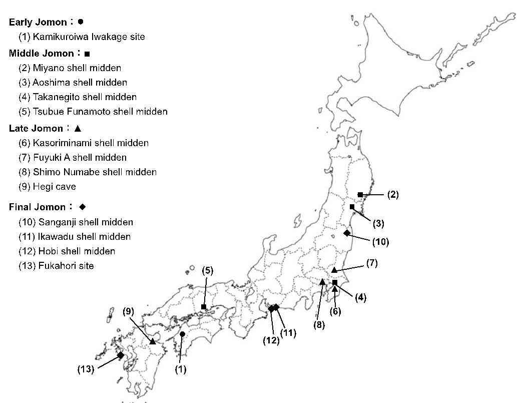 縄文時代は“平和”だった　暴力死亡率は1.8％――「戦争は人間の本能」は誤り？ - ITmedia NEWS