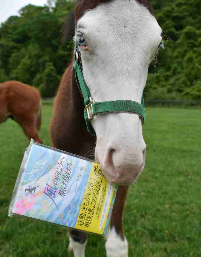 好きな競走馬は？ Part2