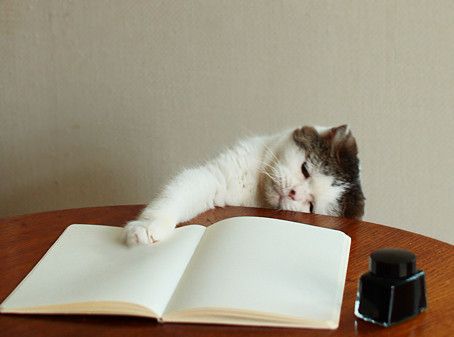    言語学者「目上の人に『ご苦労様です』『了解しました』を使うのは不適切ではない」 | netgeek