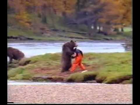 熊と格闘 - YouTube