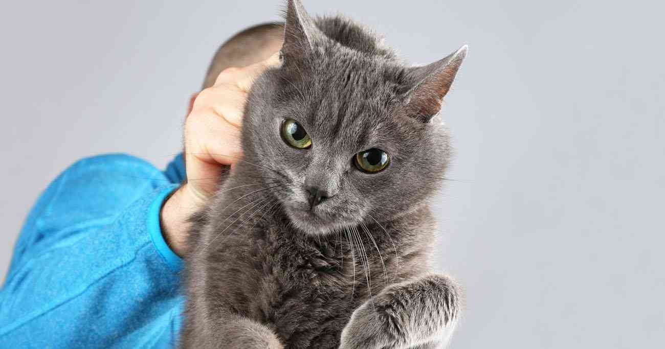 「やらせ動物レスキュー動画」がひどすぎる！動物愛護を逆手にとった虐待とは（ダイヤモンド・オンライン） - Yahoo!ニュース