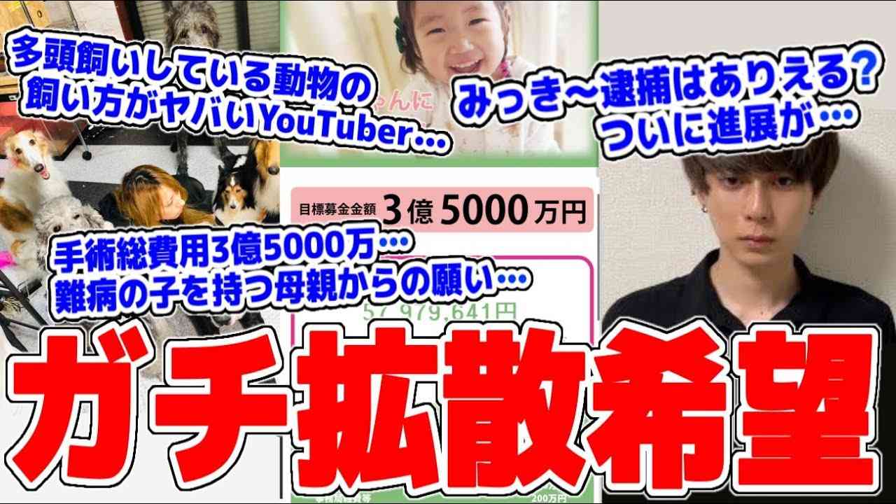 【拡散希望】現在警察沙汰の「みっき～」の件、遂に進展か…手術費3億円以上、母親からのお願い、助けてあげて欲しい…ペット100匹飼っているYouTuber「あきるな」が問題多発でやばい… - YouTube