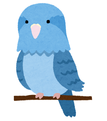 インコ ガールズちゃんねる Girls Channel