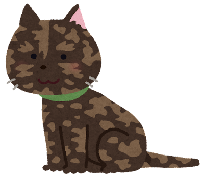 サビ猫を飼っている方！