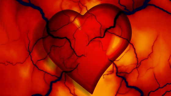 新型コロナの「スパイクタンパク質」が心臓の細胞に悪影響を与えるとの研究結果、ウイルス本体が消えても人体へのダメージが続く可能性 - GIGAZINE