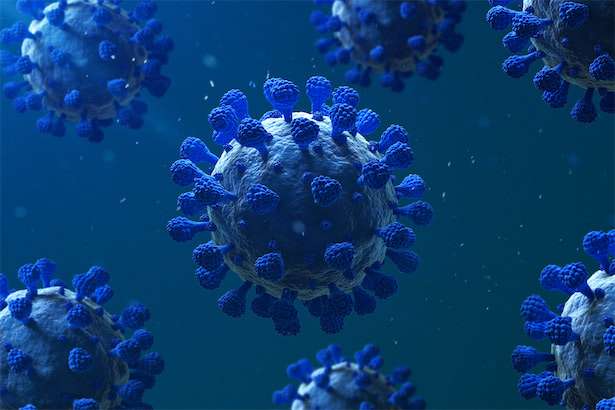 「これまでで最も変異しやすい変異株」南アで確認、アジアなどに拡散（Forbes JAPAN） - Yahoo!ニュース