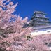 ?空条Q太郎? on Twitter: 