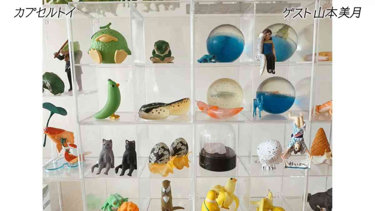 山本美月 ガチャガチャコレクションの一部披露に「壮観っ!!」「すごい量」「見てるだけで癒されます」