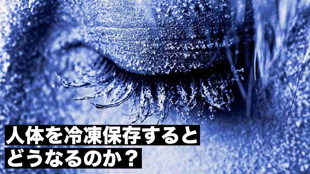 【禁戒】人体を冷凍保存すると何が起こるのか？ - YouTube