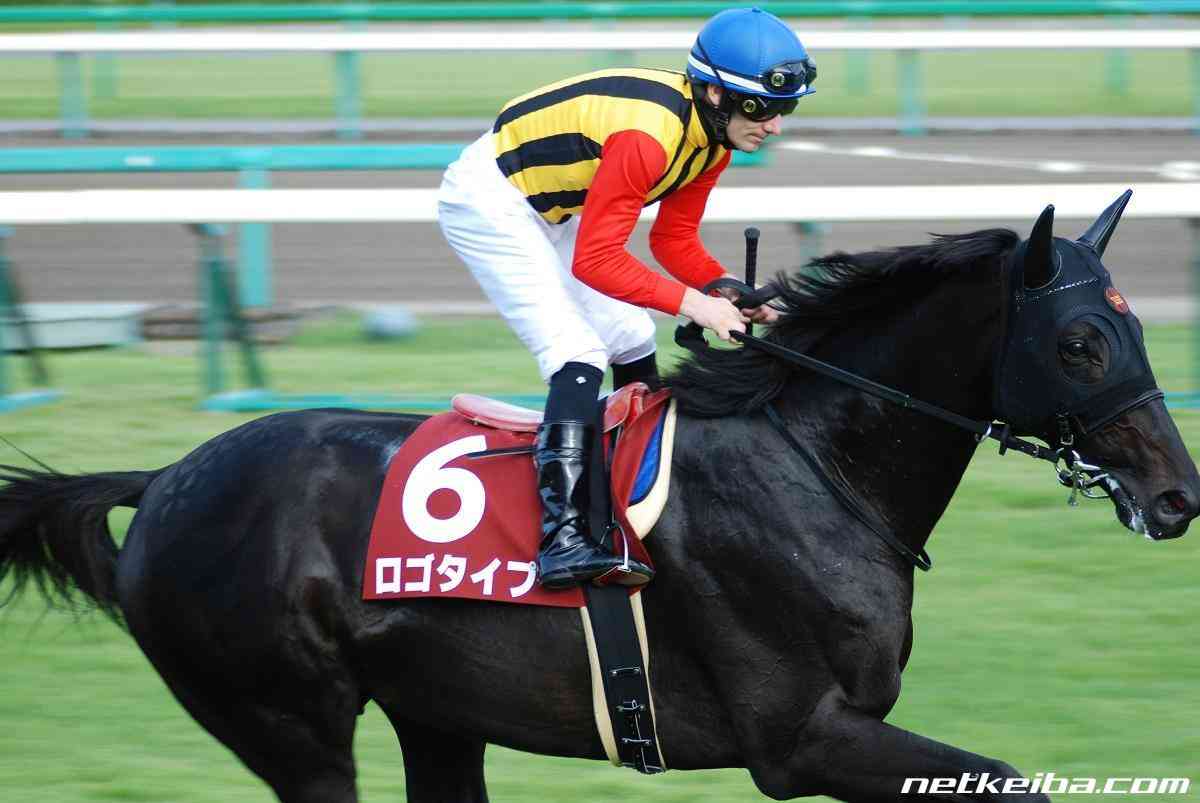 ロゴタイプ | 競走馬データ - netkeiba.com