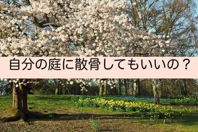 粉骨した遺骨を庭に撒いても大丈夫ですか？ | 粉骨・散骨サービス　カノン
