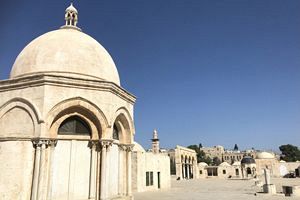 ワクチン接種率80％のイスラエルでコロナ重篤患者や死者が急増中！ ：【公式】データ・マックス　NETIB-NEWS