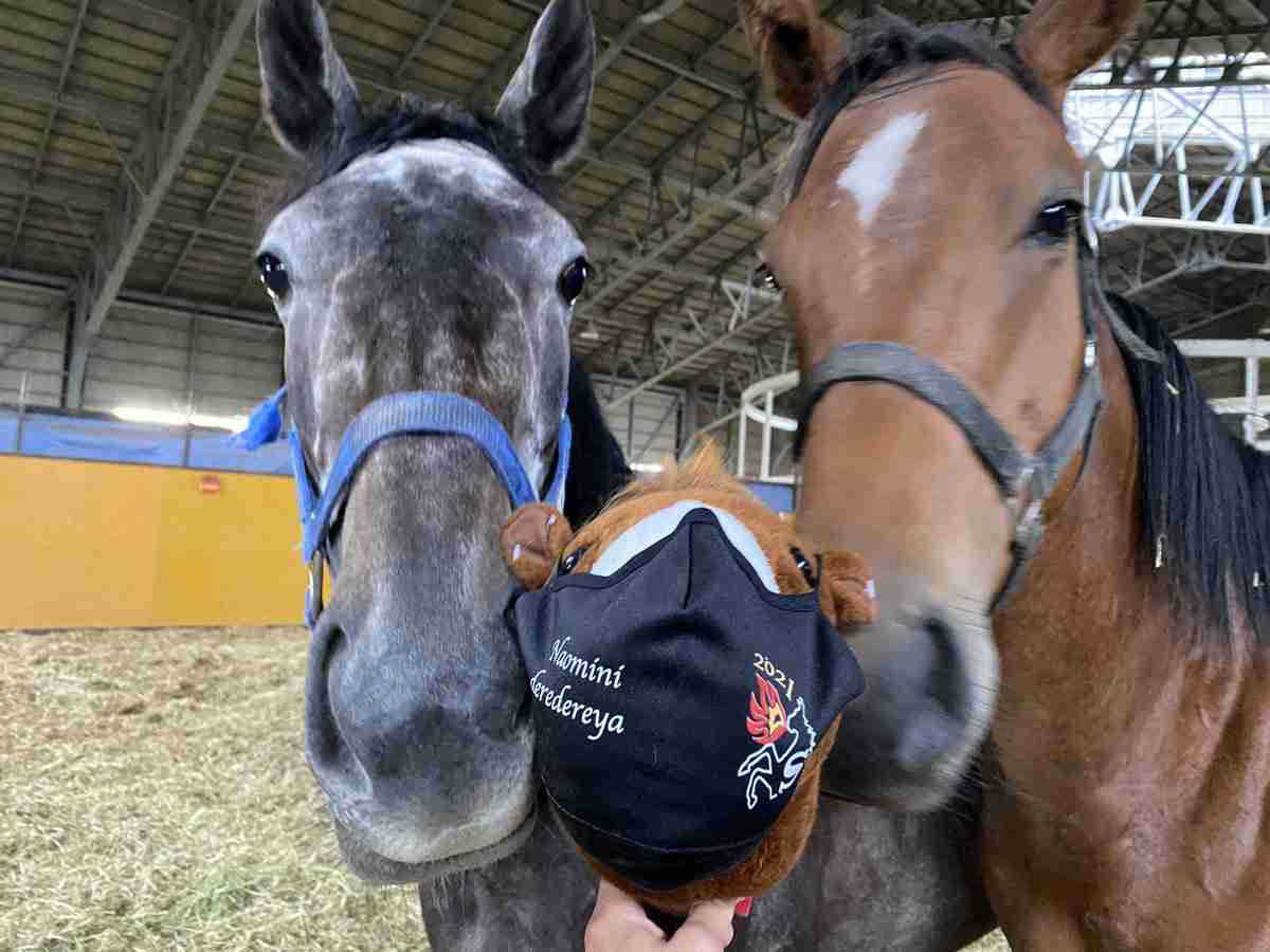 好きな競走馬は？ Part2