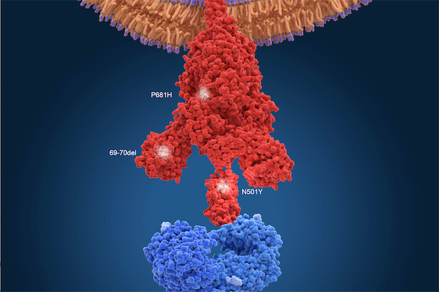 すべての新型コロナ変異株に対応？「口内に噴霧」の非mRNA型予防薬、商品化へ（Forbes JAPAN） - Yahoo!ニュース