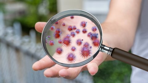 ライノウイルスとは？症状や治療法は？感染経路は？ - こそだてハック