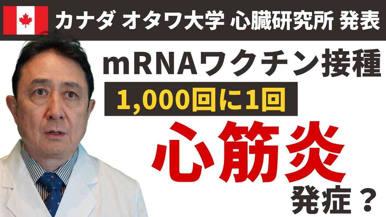 1000回に1回のmRNAワクチン接種で、心筋炎発症報告（オタワ大学  心臓研究所発表論文）／犬房春彦（ルイ・パストゥール医学研究センター／医師・医学博士） - YouTube