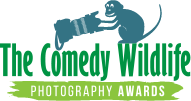 Finalists :: Comedy Wildlife Photography Awards - Conservation through Competition