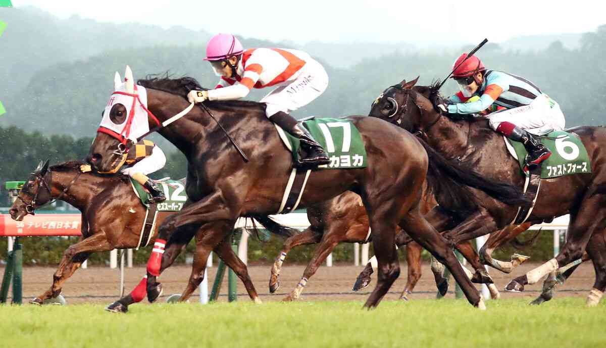 熊本産の星ヨカヨカが左第１指節種子骨骨折で競走能力喪失 : スポーツ報知