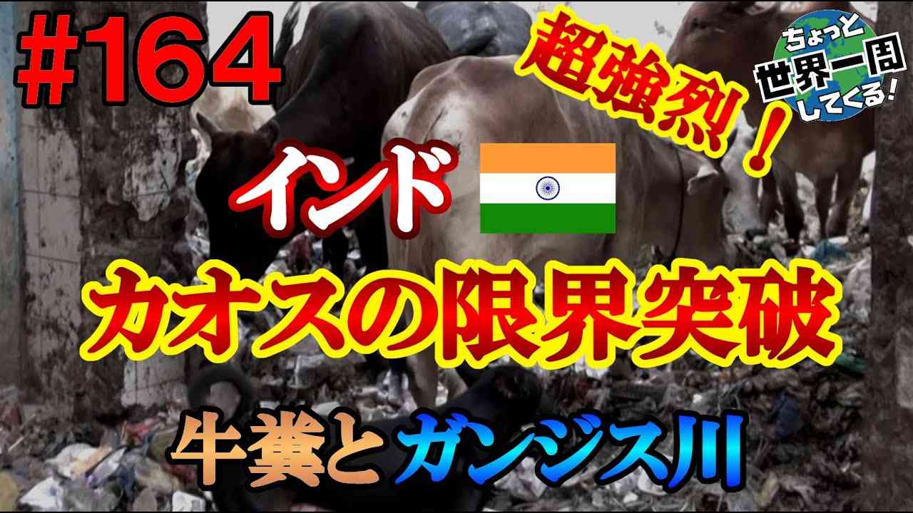 #164【これがインドだ！】想像していたよりカオスだった（バラナシ / インド）世界一周 - YouTube