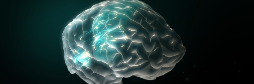 不適切な子育てが脳を「萎縮」「肥大」させる…最新科学で見る、体罰や暴言が脳を傷つける“深層”（サイエンスZERO） | 現代ビジネス | 講談社（1/7）